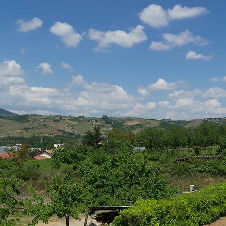 Guest House Domaine Des Grouilleres Saint-Clair-du-Rhone Ngoại thất bức ảnh