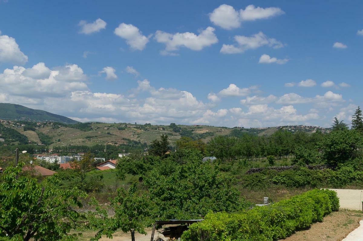 Guest House Domaine Des Grouilleres Saint-Clair-du-Rhone Ngoại thất bức ảnh